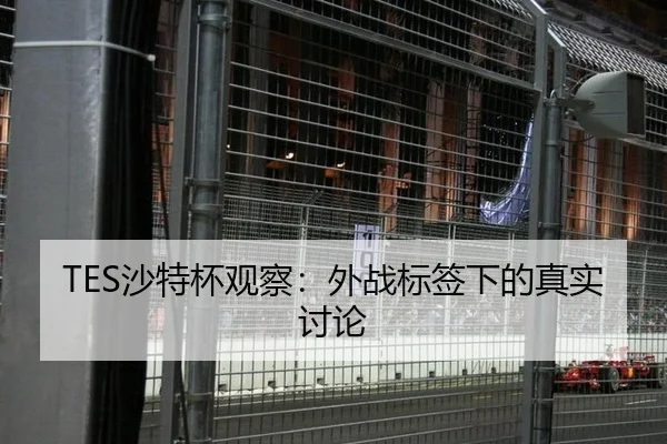 TES沙特杯观察：外战标签下的真实讨论