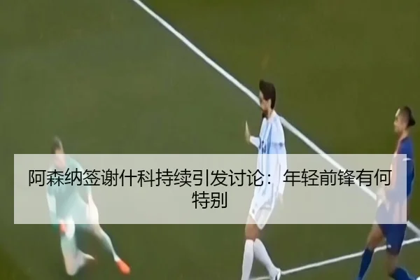 阿森纳签谢什科持续引发讨论：年轻前锋有何特别