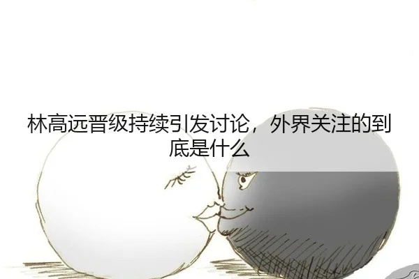lin-gao-yuan-jin-ji-chi-xu-yin-fa-tao-lun-wai-jie-guan-zhu-de-dao-di-shi-shen-me-2-429.jpg